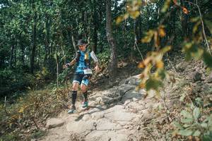 BIB: 
                            <button type="button" onclick="openModal(25737446)" class="btn btn-primary btn-sm float-right btn-popup" data-toggle="modal" data-target=".modal-high-quality">
                        <i class="fas fa-shopping-cart"></i> Add to Cart
                    </button>
                                            <button type="button" onclick="isThisMe(25737446, true)" class="btn btn-success btn-sm float-right btn-popup btn-isme hidden" data-toggle="tooltip" data-placement="bottom" title="นี่คือรูปของคุณใช่ไหม คลิกที่นี่เพื่อเอาเข้าอัลบั้ม">
                        <i class="fas fa-plus"></i> Add to album
                    </button>
                    <button type="button" onclick="isThisMe(25737446, false)" class="btn btn-warning btn-sm float-right btn-popup btn-isnotme hidden">
                        <i class="fas fa-ban"></i> Remove from album
                    </button>