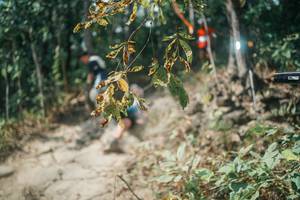 BIB: 
                            <button type="button" onclick="openModal(25740669)" class="btn btn-primary btn-sm float-right btn-popup" data-toggle="modal" data-target=".modal-high-quality">
                        <i class="fas fa-shopping-cart"></i> Add to Cart
                    </button>
                                            <button type="button" onclick="isThisMe(25740669, true)" class="btn btn-success btn-sm float-right btn-popup btn-isme hidden" data-toggle="tooltip" data-placement="bottom" title="นี่คือรูปของคุณใช่ไหม คลิกที่นี่เพื่อเอาเข้าอัลบั้ม">
                        <i class="fas fa-plus"></i> Add to album
                    </button>
                    <button type="button" onclick="isThisMe(25740669, false)" class="btn btn-warning btn-sm float-right btn-popup btn-isnotme hidden">
                        <i class="fas fa-ban"></i> Remove from album
                    </button>