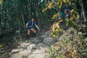 BIB: 
                            <button type="button" onclick="openModal(25848365)" class="btn btn-primary btn-sm float-right btn-popup" data-toggle="modal" data-target=".modal-high-quality">
                        <i class="fas fa-shopping-cart"></i> Add to Cart
                    </button>
                                            <button type="button" onclick="isThisMe(25848365, true)" class="btn btn-success btn-sm float-right btn-popup btn-isme hidden" data-toggle="tooltip" data-placement="bottom" title="นี่คือรูปของคุณใช่ไหม คลิกที่นี่เพื่อเอาเข้าอัลบั้ม">
                        <i class="fas fa-plus"></i> Add to album
                    </button>
                    <button type="button" onclick="isThisMe(25848365, false)" class="btn btn-warning btn-sm float-right btn-popup btn-isnotme hidden">
                        <i class="fas fa-ban"></i> Remove from album
                    </button>