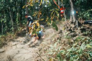 BIB: 
                            <button type="button" onclick="openModal(25740671)" class="btn btn-primary btn-sm float-right btn-popup" data-toggle="modal" data-target=".modal-high-quality">
                        <i class="fas fa-shopping-cart"></i> Add to Cart
                    </button>
                                            <button type="button" onclick="isThisMe(25740671, true)" class="btn btn-success btn-sm float-right btn-popup btn-isme hidden" data-toggle="tooltip" data-placement="bottom" title="นี่คือรูปของคุณใช่ไหม คลิกที่นี่เพื่อเอาเข้าอัลบั้ม">
                        <i class="fas fa-plus"></i> Add to album
                    </button>
                    <button type="button" onclick="isThisMe(25740671, false)" class="btn btn-warning btn-sm float-right btn-popup btn-isnotme hidden">
                        <i class="fas fa-ban"></i> Remove from album
                    </button>