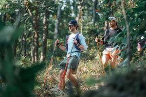 BIB: 
                            <button type="button" onclick="openModal(25731944)" class="btn btn-primary btn-sm float-right btn-popup" data-toggle="modal" data-target=".modal-high-quality">
                        <i class="fas fa-shopping-cart"></i> Add to Cart
                    </button>
                                            <button type="button" onclick="isThisMe(25731944, true)" class="btn btn-success btn-sm float-right btn-popup btn-isme hidden" data-toggle="tooltip" data-placement="bottom" title="นี่คือรูปของคุณใช่ไหม คลิกที่นี่เพื่อเอาเข้าอัลบั้ม">
                        <i class="fas fa-plus"></i> Add to album
                    </button>
                    <button type="button" onclick="isThisMe(25731944, false)" class="btn btn-warning btn-sm float-right btn-popup btn-isnotme hidden">
                        <i class="fas fa-ban"></i> Remove from album
                    </button>