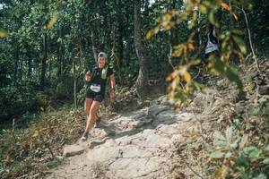 BIB: 
                            <button type="button" onclick="openModal(25744842)" class="btn btn-primary btn-sm float-right btn-popup" data-toggle="modal" data-target=".modal-high-quality">
                        <i class="fas fa-shopping-cart"></i> Add to Cart
                    </button>
                                            <button type="button" onclick="isThisMe(25744842, true)" class="btn btn-success btn-sm float-right btn-popup btn-isme hidden" data-toggle="tooltip" data-placement="bottom" title="นี่คือรูปของคุณใช่ไหม คลิกที่นี่เพื่อเอาเข้าอัลบั้ม">
                        <i class="fas fa-plus"></i> Add to album
                    </button>
                    <button type="button" onclick="isThisMe(25744842, false)" class="btn btn-warning btn-sm float-right btn-popup btn-isnotme hidden">
                        <i class="fas fa-ban"></i> Remove from album
                    </button>