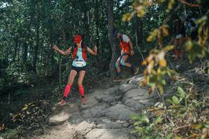 BIB: 
                            <button type="button" onclick="openModal(25853943)" class="btn btn-primary btn-sm float-right btn-popup" data-toggle="modal" data-target=".modal-high-quality">
                        <i class="fas fa-shopping-cart"></i> Add to Cart
                    </button>
                                            <button type="button" onclick="isThisMe(25853943, true)" class="btn btn-success btn-sm float-right btn-popup btn-isme hidden" data-toggle="tooltip" data-placement="bottom" title="นี่คือรูปของคุณใช่ไหม คลิกที่นี่เพื่อเอาเข้าอัลบั้ม">
                        <i class="fas fa-plus"></i> Add to album
                    </button>
                    <button type="button" onclick="isThisMe(25853943, false)" class="btn btn-warning btn-sm float-right btn-popup btn-isnotme hidden">
                        <i class="fas fa-ban"></i> Remove from album
                    </button>