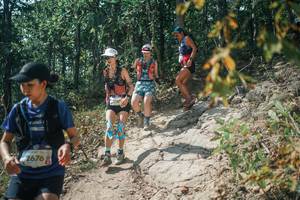 BIB: 
                            <button type="button" onclick="openModal(25745907)" class="btn btn-primary btn-sm float-right btn-popup" data-toggle="modal" data-target=".modal-high-quality">
                        <i class="fas fa-shopping-cart"></i> Add to Cart
                    </button>
                                            <button type="button" onclick="isThisMe(25745907, true)" class="btn btn-success btn-sm float-right btn-popup btn-isme hidden" data-toggle="tooltip" data-placement="bottom" title="นี่คือรูปของคุณใช่ไหม คลิกที่นี่เพื่อเอาเข้าอัลบั้ม">
                        <i class="fas fa-plus"></i> Add to album
                    </button>
                    <button type="button" onclick="isThisMe(25745907, false)" class="btn btn-warning btn-sm float-right btn-popup btn-isnotme hidden">
                        <i class="fas fa-ban"></i> Remove from album
                    </button>