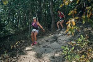 BIB: 
                            <button type="button" onclick="openModal(25719614)" class="btn btn-primary btn-sm float-right btn-popup" data-toggle="modal" data-target=".modal-high-quality">
                        <i class="fas fa-shopping-cart"></i> Add to Cart
                    </button>
                                            <button type="button" onclick="isThisMe(25719614, true)" class="btn btn-success btn-sm float-right btn-popup btn-isme hidden" data-toggle="tooltip" data-placement="bottom" title="นี่คือรูปของคุณใช่ไหม คลิกที่นี่เพื่อเอาเข้าอัลบั้ม">
                        <i class="fas fa-plus"></i> Add to album
                    </button>
                    <button type="button" onclick="isThisMe(25719614, false)" class="btn btn-warning btn-sm float-right btn-popup btn-isnotme hidden">
                        <i class="fas fa-ban"></i> Remove from album
                    </button>