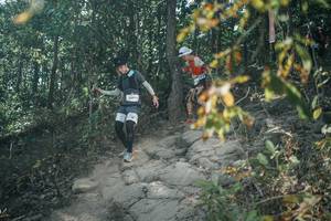 BIB: 
                            <button type="button" onclick="openModal(25826283)" class="btn btn-primary btn-sm float-right btn-popup" data-toggle="modal" data-target=".modal-high-quality">
                        <i class="fas fa-shopping-cart"></i> Add to Cart
                    </button>
                                            <button type="button" onclick="isThisMe(25826283, true)" class="btn btn-success btn-sm float-right btn-popup btn-isme hidden" data-toggle="tooltip" data-placement="bottom" title="นี่คือรูปของคุณใช่ไหม คลิกที่นี่เพื่อเอาเข้าอัลบั้ม">
                        <i class="fas fa-plus"></i> Add to album
                    </button>
                    <button type="button" onclick="isThisMe(25826283, false)" class="btn btn-warning btn-sm float-right btn-popup btn-isnotme hidden">
                        <i class="fas fa-ban"></i> Remove from album
                    </button>