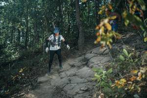 BIB: 
                            <button type="button" onclick="openModal(25732390)" class="btn btn-primary btn-sm float-right btn-popup" data-toggle="modal" data-target=".modal-high-quality">
                        <i class="fas fa-shopping-cart"></i> Add to Cart
                    </button>
                                            <button type="button" onclick="isThisMe(25732390, true)" class="btn btn-success btn-sm float-right btn-popup btn-isme hidden" data-toggle="tooltip" data-placement="bottom" title="นี่คือรูปของคุณใช่ไหม คลิกที่นี่เพื่อเอาเข้าอัลบั้ม">
                        <i class="fas fa-plus"></i> Add to album
                    </button>
                    <button type="button" onclick="isThisMe(25732390, false)" class="btn btn-warning btn-sm float-right btn-popup btn-isnotme hidden">
                        <i class="fas fa-ban"></i> Remove from album
                    </button>