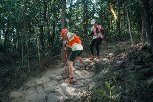 BIB: 
                            <button type="button" onclick="openModal(25746218)" class="btn btn-primary btn-sm float-right btn-popup" data-toggle="modal" data-target=".modal-high-quality">
                        <i class="fas fa-shopping-cart"></i> Add to Cart
                    </button>
                                            <button type="button" onclick="isThisMe(25746218, true)" class="btn btn-success btn-sm float-right btn-popup btn-isme hidden" data-toggle="tooltip" data-placement="bottom" title="นี่คือรูปของคุณใช่ไหม คลิกที่นี่เพื่อเอาเข้าอัลบั้ม">
                        <i class="fas fa-plus"></i> Add to album
                    </button>
                    <button type="button" onclick="isThisMe(25746218, false)" class="btn btn-warning btn-sm float-right btn-popup btn-isnotme hidden">
                        <i class="fas fa-ban"></i> Remove from album
                    </button>