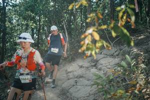 BIB: 
                            <button type="button" onclick="openModal(25826398)" class="btn btn-primary btn-sm float-right btn-popup" data-toggle="modal" data-target=".modal-high-quality">
                        <i class="fas fa-shopping-cart"></i> Add to Cart
                    </button>
                                            <button type="button" onclick="isThisMe(25826398, true)" class="btn btn-success btn-sm float-right btn-popup btn-isme hidden" data-toggle="tooltip" data-placement="bottom" title="นี่คือรูปของคุณใช่ไหม คลิกที่นี่เพื่อเอาเข้าอัลบั้ม">
                        <i class="fas fa-plus"></i> Add to album
                    </button>
                    <button type="button" onclick="isThisMe(25826398, false)" class="btn btn-warning btn-sm float-right btn-popup btn-isnotme hidden">
                        <i class="fas fa-ban"></i> Remove from album
                    </button>