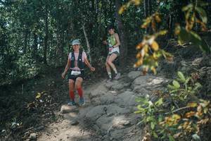 BIB: 
                            <button type="button" onclick="openModal(25726244)" class="btn btn-primary btn-sm float-right btn-popup" data-toggle="modal" data-target=".modal-high-quality">
                        <i class="fas fa-shopping-cart"></i> Add to Cart
                    </button>
                                            <button type="button" onclick="isThisMe(25726244, true)" class="btn btn-success btn-sm float-right btn-popup btn-isme hidden" data-toggle="tooltip" data-placement="bottom" title="นี่คือรูปของคุณใช่ไหม คลิกที่นี่เพื่อเอาเข้าอัลบั้ม">
                        <i class="fas fa-plus"></i> Add to album
                    </button>
                    <button type="button" onclick="isThisMe(25726244, false)" class="btn btn-warning btn-sm float-right btn-popup btn-isnotme hidden">
                        <i class="fas fa-ban"></i> Remove from album
                    </button>