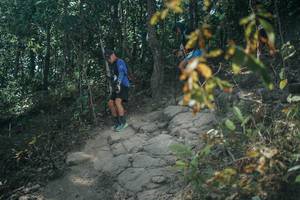 BIB: 
                            <button type="button" onclick="openModal(25733851)" class="btn btn-primary btn-sm float-right btn-popup" data-toggle="modal" data-target=".modal-high-quality">
                        <i class="fas fa-shopping-cart"></i> Add to Cart
                    </button>
                                            <button type="button" onclick="isThisMe(25733851, true)" class="btn btn-success btn-sm float-right btn-popup btn-isme hidden" data-toggle="tooltip" data-placement="bottom" title="นี่คือรูปของคุณใช่ไหม คลิกที่นี่เพื่อเอาเข้าอัลบั้ม">
                        <i class="fas fa-plus"></i> Add to album
                    </button>
                    <button type="button" onclick="isThisMe(25733851, false)" class="btn btn-warning btn-sm float-right btn-popup btn-isnotme hidden">
                        <i class="fas fa-ban"></i> Remove from album
                    </button>