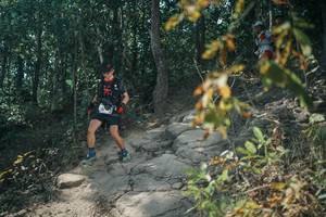 BIB: 
                            <button type="button" onclick="openModal(25719164)" class="btn btn-primary btn-sm float-right btn-popup" data-toggle="modal" data-target=".modal-high-quality">
                        <i class="fas fa-shopping-cart"></i> Add to Cart
                    </button>
                                            <button type="button" onclick="isThisMe(25719164, true)" class="btn btn-success btn-sm float-right btn-popup btn-isme hidden" data-toggle="tooltip" data-placement="bottom" title="นี่คือรูปของคุณใช่ไหม คลิกที่นี่เพื่อเอาเข้าอัลบั้ม">
                        <i class="fas fa-plus"></i> Add to album
                    </button>
                    <button type="button" onclick="isThisMe(25719164, false)" class="btn btn-warning btn-sm float-right btn-popup btn-isnotme hidden">
                        <i class="fas fa-ban"></i> Remove from album
                    </button>