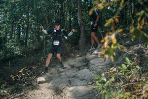 BIB: 
                            <button type="button" onclick="openModal(25719285)" class="btn btn-primary btn-sm float-right btn-popup" data-toggle="modal" data-target=".modal-high-quality">
                        <i class="fas fa-shopping-cart"></i> Add to Cart
                    </button>
                                            <button type="button" onclick="isThisMe(25719285, true)" class="btn btn-success btn-sm float-right btn-popup btn-isme hidden" data-toggle="tooltip" data-placement="bottom" title="นี่คือรูปของคุณใช่ไหม คลิกที่นี่เพื่อเอาเข้าอัลบั้ม">
                        <i class="fas fa-plus"></i> Add to album
                    </button>
                    <button type="button" onclick="isThisMe(25719285, false)" class="btn btn-warning btn-sm float-right btn-popup btn-isnotme hidden">
                        <i class="fas fa-ban"></i> Remove from album
                    </button>