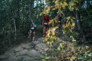 BIB: 
                            <button type="button" onclick="openModal(25731098)" class="btn btn-primary btn-sm float-right btn-popup" data-toggle="modal" data-target=".modal-high-quality">
                        <i class="fas fa-shopping-cart"></i> Add to Cart
                    </button>
                                            <button type="button" onclick="isThisMe(25731098, true)" class="btn btn-success btn-sm float-right btn-popup btn-isme hidden" data-toggle="tooltip" data-placement="bottom" title="นี่คือรูปของคุณใช่ไหม คลิกที่นี่เพื่อเอาเข้าอัลบั้ม">
                        <i class="fas fa-plus"></i> Add to album
                    </button>
                    <button type="button" onclick="isThisMe(25731098, false)" class="btn btn-warning btn-sm float-right btn-popup btn-isnotme hidden">
                        <i class="fas fa-ban"></i> Remove from album
                    </button>