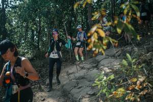 BIB: 
                            <button type="button" onclick="openModal(25729814)" class="btn btn-primary btn-sm float-right btn-popup" data-toggle="modal" data-target=".modal-high-quality">
                        <i class="fas fa-shopping-cart"></i> Add to Cart
                    </button>
                                            <button type="button" onclick="isThisMe(25729814, true)" class="btn btn-success btn-sm float-right btn-popup btn-isme hidden" data-toggle="tooltip" data-placement="bottom" title="นี่คือรูปของคุณใช่ไหม คลิกที่นี่เพื่อเอาเข้าอัลบั้ม">
                        <i class="fas fa-plus"></i> Add to album
                    </button>
                    <button type="button" onclick="isThisMe(25729814, false)" class="btn btn-warning btn-sm float-right btn-popup btn-isnotme hidden">
                        <i class="fas fa-ban"></i> Remove from album
                    </button>