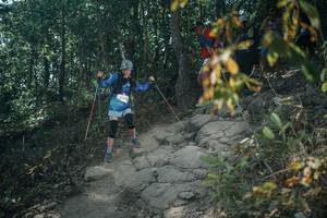 BIB: 
                            <button type="button" onclick="openModal(25733558)" class="btn btn-primary btn-sm float-right btn-popup" data-toggle="modal" data-target=".modal-high-quality">
                        <i class="fas fa-shopping-cart"></i> Add to Cart
                    </button>
                                            <button type="button" onclick="isThisMe(25733558, true)" class="btn btn-success btn-sm float-right btn-popup btn-isme hidden" data-toggle="tooltip" data-placement="bottom" title="นี่คือรูปของคุณใช่ไหม คลิกที่นี่เพื่อเอาเข้าอัลบั้ม">
                        <i class="fas fa-plus"></i> Add to album
                    </button>
                    <button type="button" onclick="isThisMe(25733558, false)" class="btn btn-warning btn-sm float-right btn-popup btn-isnotme hidden">
                        <i class="fas fa-ban"></i> Remove from album
                    </button>