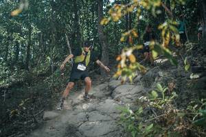 BIB: 
                            <button type="button" onclick="openModal(25828532)" class="btn btn-primary btn-sm float-right btn-popup" data-toggle="modal" data-target=".modal-high-quality">
                        <i class="fas fa-shopping-cart"></i> Add to Cart
                    </button>
                                            <button type="button" onclick="isThisMe(25828532, true)" class="btn btn-success btn-sm float-right btn-popup btn-isme hidden" data-toggle="tooltip" data-placement="bottom" title="นี่คือรูปของคุณใช่ไหม คลิกที่นี่เพื่อเอาเข้าอัลบั้ม">
                        <i class="fas fa-plus"></i> Add to album
                    </button>
                    <button type="button" onclick="isThisMe(25828532, false)" class="btn btn-warning btn-sm float-right btn-popup btn-isnotme hidden">
                        <i class="fas fa-ban"></i> Remove from album
                    </button>