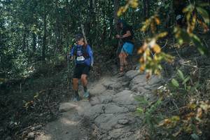 BIB: 
                            <button type="button" onclick="openModal(25733883)" class="btn btn-primary btn-sm float-right btn-popup" data-toggle="modal" data-target=".modal-high-quality">
                        <i class="fas fa-shopping-cart"></i> Add to Cart
                    </button>
                                            <button type="button" onclick="isThisMe(25733883, true)" class="btn btn-success btn-sm float-right btn-popup btn-isme hidden" data-toggle="tooltip" data-placement="bottom" title="นี่คือรูปของคุณใช่ไหม คลิกที่นี่เพื่อเอาเข้าอัลบั้ม">
                        <i class="fas fa-plus"></i> Add to album
                    </button>
                    <button type="button" onclick="isThisMe(25733883, false)" class="btn btn-warning btn-sm float-right btn-popup btn-isnotme hidden">
                        <i class="fas fa-ban"></i> Remove from album
                    </button>