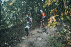 BIB: 
                            <button type="button" onclick="openModal(25826302)" class="btn btn-primary btn-sm float-right btn-popup" data-toggle="modal" data-target=".modal-high-quality">
                        <i class="fas fa-shopping-cart"></i> Add to Cart
                    </button>
                                            <button type="button" onclick="isThisMe(25826302, true)" class="btn btn-success btn-sm float-right btn-popup btn-isme hidden" data-toggle="tooltip" data-placement="bottom" title="นี่คือรูปของคุณใช่ไหม คลิกที่นี่เพื่อเอาเข้าอัลบั้ม">
                        <i class="fas fa-plus"></i> Add to album
                    </button>
                    <button type="button" onclick="isThisMe(25826302, false)" class="btn btn-warning btn-sm float-right btn-popup btn-isnotme hidden">
                        <i class="fas fa-ban"></i> Remove from album
                    </button>