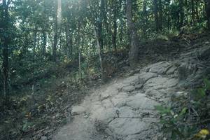 BIB: 
                            <button type="button" onclick="openModal(25749905)" class="btn btn-primary btn-sm float-right btn-popup" data-toggle="modal" data-target=".modal-high-quality">
                        <i class="fas fa-shopping-cart"></i> Add to Cart
                    </button>
                                            <button type="button" onclick="isThisMe(25749905, true)" class="btn btn-success btn-sm float-right btn-popup btn-isme hidden" data-toggle="tooltip" data-placement="bottom" title="นี่คือรูปของคุณใช่ไหม คลิกที่นี่เพื่อเอาเข้าอัลบั้ม">
                        <i class="fas fa-plus"></i> Add to album
                    </button>
                    <button type="button" onclick="isThisMe(25749905, false)" class="btn btn-warning btn-sm float-right btn-popup btn-isnotme hidden">
                        <i class="fas fa-ban"></i> Remove from album
                    </button>