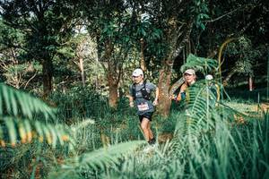 BIB: 
                            <button type="button" onclick="openModal(25521455)" class="btn btn-primary btn-sm float-right btn-popup" data-toggle="modal" data-target=".modal-high-quality">
                        <i class="fas fa-shopping-cart"></i> Add to Cart
                    </button>
                                            <button type="button" onclick="isThisMe(25521455, true)" class="btn btn-success btn-sm float-right btn-popup btn-isme hidden" data-toggle="tooltip" data-placement="bottom" title="นี่คือรูปของคุณใช่ไหม คลิกที่นี่เพื่อเอาเข้าอัลบั้ม">
                        <i class="fas fa-plus"></i> Add to album
                    </button>
                    <button type="button" onclick="isThisMe(25521455, false)" class="btn btn-warning btn-sm float-right btn-popup btn-isnotme hidden">
                        <i class="fas fa-ban"></i> Remove from album
                    </button>