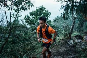 BIB: 
                            <button type="button" onclick="openModal(25527982)" class="btn btn-primary btn-sm float-right btn-popup" data-toggle="modal" data-target=".modal-high-quality">
                        <i class="fas fa-shopping-cart"></i> Add to Cart
                    </button>
                                            <button type="button" onclick="isThisMe(25527982, true)" class="btn btn-success btn-sm float-right btn-popup btn-isme hidden" data-toggle="tooltip" data-placement="bottom" title="นี่คือรูปของคุณใช่ไหม คลิกที่นี่เพื่อเอาเข้าอัลบั้ม">
                        <i class="fas fa-plus"></i> Add to album
                    </button>
                    <button type="button" onclick="isThisMe(25527982, false)" class="btn btn-warning btn-sm float-right btn-popup btn-isnotme hidden">
                        <i class="fas fa-ban"></i> Remove from album
                    </button>