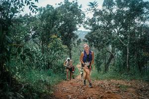 BIB: 
                            <button type="button" onclick="openModal(25491018)" class="btn btn-primary btn-sm float-right btn-popup" data-toggle="modal" data-target=".modal-high-quality">
                        <i class="fas fa-shopping-cart"></i> Add to Cart
                    </button>
                                            <button type="button" onclick="isThisMe(25491018, true)" class="btn btn-success btn-sm float-right btn-popup btn-isme hidden" data-toggle="tooltip" data-placement="bottom" title="นี่คือรูปของคุณใช่ไหม คลิกที่นี่เพื่อเอาเข้าอัลบั้ม">
                        <i class="fas fa-plus"></i> Add to album
                    </button>
                    <button type="button" onclick="isThisMe(25491018, false)" class="btn btn-warning btn-sm float-right btn-popup btn-isnotme hidden">
                        <i class="fas fa-ban"></i> Remove from album
                    </button>