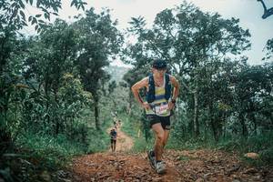 BIB: 
                            <button type="button" onclick="openModal(25515043)" class="btn btn-primary btn-sm float-right btn-popup" data-toggle="modal" data-target=".modal-high-quality">
                        <i class="fas fa-shopping-cart"></i> Add to Cart
                    </button>
                                            <button type="button" onclick="isThisMe(25515043, true)" class="btn btn-success btn-sm float-right btn-popup btn-isme hidden" data-toggle="tooltip" data-placement="bottom" title="นี่คือรูปของคุณใช่ไหม คลิกที่นี่เพื่อเอาเข้าอัลบั้ม">
                        <i class="fas fa-plus"></i> Add to album
                    </button>
                    <button type="button" onclick="isThisMe(25515043, false)" class="btn btn-warning btn-sm float-right btn-popup btn-isnotme hidden">
                        <i class="fas fa-ban"></i> Remove from album
                    </button>