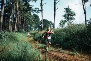 BIB: 
                            <button type="button" onclick="openModal(25524698)" class="btn btn-primary btn-sm float-right btn-popup" data-toggle="modal" data-target=".modal-high-quality">
                        <i class="fas fa-shopping-cart"></i> Add to Cart
                    </button>
                                            <button type="button" onclick="isThisMe(25524698, true)" class="btn btn-success btn-sm float-right btn-popup btn-isme hidden" data-toggle="tooltip" data-placement="bottom" title="นี่คือรูปของคุณใช่ไหม คลิกที่นี่เพื่อเอาเข้าอัลบั้ม">
                        <i class="fas fa-plus"></i> Add to album
                    </button>
                    <button type="button" onclick="isThisMe(25524698, false)" class="btn btn-warning btn-sm float-right btn-popup btn-isnotme hidden">
                        <i class="fas fa-ban"></i> Remove from album
                    </button>