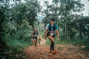 BIB: 
                            <button type="button" onclick="openModal(25474351)" class="btn btn-primary btn-sm float-right btn-popup" data-toggle="modal" data-target=".modal-high-quality">
                        <i class="fas fa-shopping-cart"></i> Add to Cart
                    </button>
                                            <button type="button" onclick="isThisMe(25474351, true)" class="btn btn-success btn-sm float-right btn-popup btn-isme hidden" data-toggle="tooltip" data-placement="bottom" title="นี่คือรูปของคุณใช่ไหม คลิกที่นี่เพื่อเอาเข้าอัลบั้ม">
                        <i class="fas fa-plus"></i> Add to album
                    </button>
                    <button type="button" onclick="isThisMe(25474351, false)" class="btn btn-warning btn-sm float-right btn-popup btn-isnotme hidden">
                        <i class="fas fa-ban"></i> Remove from album
                    </button>