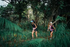 BIB: 
                            <button type="button" onclick="openModal(25519868)" class="btn btn-primary btn-sm float-right btn-popup" data-toggle="modal" data-target=".modal-high-quality">
                        <i class="fas fa-shopping-cart"></i> Add to Cart
                    </button>
                                            <button type="button" onclick="isThisMe(25519868, true)" class="btn btn-success btn-sm float-right btn-popup btn-isme hidden" data-toggle="tooltip" data-placement="bottom" title="นี่คือรูปของคุณใช่ไหม คลิกที่นี่เพื่อเอาเข้าอัลบั้ม">
                        <i class="fas fa-plus"></i> Add to album
                    </button>
                    <button type="button" onclick="isThisMe(25519868, false)" class="btn btn-warning btn-sm float-right btn-popup btn-isnotme hidden">
                        <i class="fas fa-ban"></i> Remove from album
                    </button>