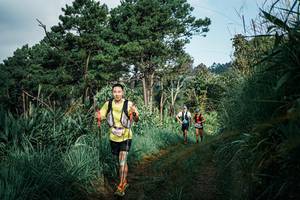 BIB: 
                            <button type="button" onclick="openModal(25518704)" class="btn btn-primary btn-sm float-right btn-popup" data-toggle="modal" data-target=".modal-high-quality">
                        <i class="fas fa-shopping-cart"></i> Add to Cart
                    </button>
                                            <button type="button" onclick="isThisMe(25518704, true)" class="btn btn-success btn-sm float-right btn-popup btn-isme hidden" data-toggle="tooltip" data-placement="bottom" title="นี่คือรูปของคุณใช่ไหม คลิกที่นี่เพื่อเอาเข้าอัลบั้ม">
                        <i class="fas fa-plus"></i> Add to album
                    </button>
                    <button type="button" onclick="isThisMe(25518704, false)" class="btn btn-warning btn-sm float-right btn-popup btn-isnotme hidden">
                        <i class="fas fa-ban"></i> Remove from album
                    </button>