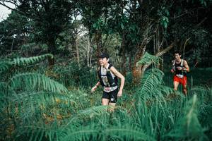 BIB: 
                            <button type="button" onclick="openModal(25524016)" class="btn btn-primary btn-sm float-right btn-popup" data-toggle="modal" data-target=".modal-high-quality">
                        <i class="fas fa-shopping-cart"></i> Add to Cart
                    </button>
                                            <button type="button" onclick="isThisMe(25524016, true)" class="btn btn-success btn-sm float-right btn-popup btn-isme hidden" data-toggle="tooltip" data-placement="bottom" title="นี่คือรูปของคุณใช่ไหม คลิกที่นี่เพื่อเอาเข้าอัลบั้ม">
                        <i class="fas fa-plus"></i> Add to album
                    </button>
                    <button type="button" onclick="isThisMe(25524016, false)" class="btn btn-warning btn-sm float-right btn-popup btn-isnotme hidden">
                        <i class="fas fa-ban"></i> Remove from album
                    </button>