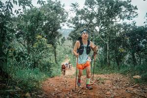 BIB: 
                            <button type="button" onclick="openModal(25464413)" class="btn btn-primary btn-sm float-right btn-popup" data-toggle="modal" data-target=".modal-high-quality">
                        <i class="fas fa-shopping-cart"></i> Add to Cart
                    </button>
                                            <button type="button" onclick="isThisMe(25464413, true)" class="btn btn-success btn-sm float-right btn-popup btn-isme hidden" data-toggle="tooltip" data-placement="bottom" title="นี่คือรูปของคุณใช่ไหม คลิกที่นี่เพื่อเอาเข้าอัลบั้ม">
                        <i class="fas fa-plus"></i> Add to album
                    </button>
                    <button type="button" onclick="isThisMe(25464413, false)" class="btn btn-warning btn-sm float-right btn-popup btn-isnotme hidden">
                        <i class="fas fa-ban"></i> Remove from album
                    </button>