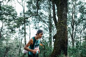 BIB: 
                            <button type="button" onclick="openModal(25527462)" class="btn btn-primary btn-sm float-right btn-popup" data-toggle="modal" data-target=".modal-high-quality">
                        <i class="fas fa-shopping-cart"></i> Add to Cart
                    </button>
                                            <button type="button" onclick="isThisMe(25527462, true)" class="btn btn-success btn-sm float-right btn-popup btn-isme hidden" data-toggle="tooltip" data-placement="bottom" title="นี่คือรูปของคุณใช่ไหม คลิกที่นี่เพื่อเอาเข้าอัลบั้ม">
                        <i class="fas fa-plus"></i> Add to album
                    </button>
                    <button type="button" onclick="isThisMe(25527462, false)" class="btn btn-warning btn-sm float-right btn-popup btn-isnotme hidden">
                        <i class="fas fa-ban"></i> Remove from album
                    </button>