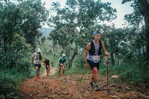 BIB: 
                            <button type="button" onclick="openModal(25513250)" class="btn btn-primary btn-sm float-right btn-popup" data-toggle="modal" data-target=".modal-high-quality">
                        <i class="fas fa-shopping-cart"></i> Add to Cart
                    </button>
                                            <button type="button" onclick="isThisMe(25513250, true)" class="btn btn-success btn-sm float-right btn-popup btn-isme hidden" data-toggle="tooltip" data-placement="bottom" title="นี่คือรูปของคุณใช่ไหม คลิกที่นี่เพื่อเอาเข้าอัลบั้ม">
                        <i class="fas fa-plus"></i> Add to album
                    </button>
                    <button type="button" onclick="isThisMe(25513250, false)" class="btn btn-warning btn-sm float-right btn-popup btn-isnotme hidden">
                        <i class="fas fa-ban"></i> Remove from album
                    </button>