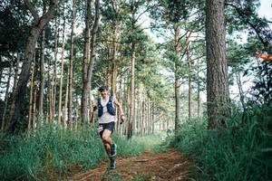 BIB: 
                            <button type="button" onclick="openModal(25526439)" class="btn btn-primary btn-sm float-right btn-popup" data-toggle="modal" data-target=".modal-high-quality">
                        <i class="fas fa-shopping-cart"></i> Add to Cart
                    </button>
                                            <button type="button" onclick="isThisMe(25526439, true)" class="btn btn-success btn-sm float-right btn-popup btn-isme hidden" data-toggle="tooltip" data-placement="bottom" title="นี่คือรูปของคุณใช่ไหม คลิกที่นี่เพื่อเอาเข้าอัลบั้ม">
                        <i class="fas fa-plus"></i> Add to album
                    </button>
                    <button type="button" onclick="isThisMe(25526439, false)" class="btn btn-warning btn-sm float-right btn-popup btn-isnotme hidden">
                        <i class="fas fa-ban"></i> Remove from album
                    </button>