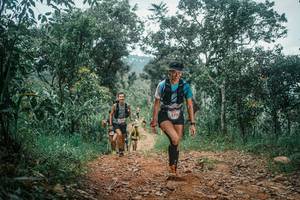 BIB: 
                            <button type="button" onclick="openModal(25474352)" class="btn btn-primary btn-sm float-right btn-popup" data-toggle="modal" data-target=".modal-high-quality">
                        <i class="fas fa-shopping-cart"></i> Add to Cart
                    </button>
                                            <button type="button" onclick="isThisMe(25474352, true)" class="btn btn-success btn-sm float-right btn-popup btn-isme hidden" data-toggle="tooltip" data-placement="bottom" title="นี่คือรูปของคุณใช่ไหม คลิกที่นี่เพื่อเอาเข้าอัลบั้ม">
                        <i class="fas fa-plus"></i> Add to album
                    </button>
                    <button type="button" onclick="isThisMe(25474352, false)" class="btn btn-warning btn-sm float-right btn-popup btn-isnotme hidden">
                        <i class="fas fa-ban"></i> Remove from album
                    </button>