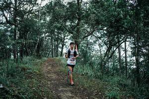 BIB: 
                            <button type="button" onclick="openModal(25527612)" class="btn btn-primary btn-sm float-right btn-popup" data-toggle="modal" data-target=".modal-high-quality">
                        <i class="fas fa-shopping-cart"></i> Add to Cart
                    </button>
                                            <button type="button" onclick="isThisMe(25527612, true)" class="btn btn-success btn-sm float-right btn-popup btn-isme hidden" data-toggle="tooltip" data-placement="bottom" title="นี่คือรูปของคุณใช่ไหม คลิกที่นี่เพื่อเอาเข้าอัลบั้ม">
                        <i class="fas fa-plus"></i> Add to album
                    </button>
                    <button type="button" onclick="isThisMe(25527612, false)" class="btn btn-warning btn-sm float-right btn-popup btn-isnotme hidden">
                        <i class="fas fa-ban"></i> Remove from album
                    </button>