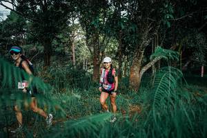 BIB: 
                            <button type="button" onclick="openModal(25519876)" class="btn btn-primary btn-sm float-right btn-popup" data-toggle="modal" data-target=".modal-high-quality">
                        <i class="fas fa-shopping-cart"></i> Add to Cart
                    </button>
                                            <button type="button" onclick="isThisMe(25519876, true)" class="btn btn-success btn-sm float-right btn-popup btn-isme hidden" data-toggle="tooltip" data-placement="bottom" title="นี่คือรูปของคุณใช่ไหม คลิกที่นี่เพื่อเอาเข้าอัลบั้ม">
                        <i class="fas fa-plus"></i> Add to album
                    </button>
                    <button type="button" onclick="isThisMe(25519876, false)" class="btn btn-warning btn-sm float-right btn-popup btn-isnotme hidden">
                        <i class="fas fa-ban"></i> Remove from album
                    </button>