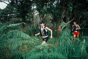 BIB: 
                            <button type="button" onclick="openModal(25524013)" class="btn btn-primary btn-sm float-right btn-popup" data-toggle="modal" data-target=".modal-high-quality">
                        <i class="fas fa-shopping-cart"></i> Add to Cart
                    </button>
                                            <button type="button" onclick="isThisMe(25524013, true)" class="btn btn-success btn-sm float-right btn-popup btn-isme hidden" data-toggle="tooltip" data-placement="bottom" title="นี่คือรูปของคุณใช่ไหม คลิกที่นี่เพื่อเอาเข้าอัลบั้ม">
                        <i class="fas fa-plus"></i> Add to album
                    </button>
                    <button type="button" onclick="isThisMe(25524013, false)" class="btn btn-warning btn-sm float-right btn-popup btn-isnotme hidden">
                        <i class="fas fa-ban"></i> Remove from album
                    </button>