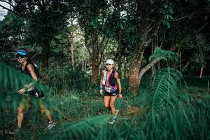 BIB: 
                            <button type="button" onclick="openModal(25519895)" class="btn btn-primary btn-sm float-right btn-popup" data-toggle="modal" data-target=".modal-high-quality">
                        <i class="fas fa-shopping-cart"></i> Add to Cart
                    </button>
                                            <button type="button" onclick="isThisMe(25519895, true)" class="btn btn-success btn-sm float-right btn-popup btn-isme hidden" data-toggle="tooltip" data-placement="bottom" title="นี่คือรูปของคุณใช่ไหม คลิกที่นี่เพื่อเอาเข้าอัลบั้ม">
                        <i class="fas fa-plus"></i> Add to album
                    </button>
                    <button type="button" onclick="isThisMe(25519895, false)" class="btn btn-warning btn-sm float-right btn-popup btn-isnotme hidden">
                        <i class="fas fa-ban"></i> Remove from album
                    </button>