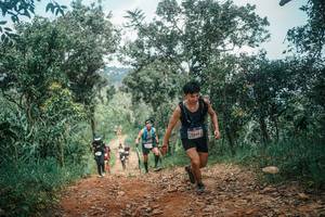 BIB: 
                            <button type="button" onclick="openModal(25457229)" class="btn btn-primary btn-sm float-right btn-popup" data-toggle="modal" data-target=".modal-high-quality">
                        <i class="fas fa-shopping-cart"></i> Add to Cart
                    </button>
                                            <button type="button" onclick="isThisMe(25457229, true)" class="btn btn-success btn-sm float-right btn-popup btn-isme hidden" data-toggle="tooltip" data-placement="bottom" title="นี่คือรูปของคุณใช่ไหม คลิกที่นี่เพื่อเอาเข้าอัลบั้ม">
                        <i class="fas fa-plus"></i> Add to album
                    </button>
                    <button type="button" onclick="isThisMe(25457229, false)" class="btn btn-warning btn-sm float-right btn-popup btn-isnotme hidden">
                        <i class="fas fa-ban"></i> Remove from album
                    </button>