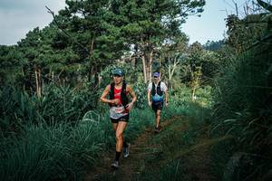 BIB: 
                            <button type="button" onclick="openModal(25518701)" class="btn btn-primary btn-sm float-right btn-popup" data-toggle="modal" data-target=".modal-high-quality">
                        <i class="fas fa-shopping-cart"></i> Add to Cart
                    </button>
                                            <button type="button" onclick="isThisMe(25518701, true)" class="btn btn-success btn-sm float-right btn-popup btn-isme hidden" data-toggle="tooltip" data-placement="bottom" title="นี่คือรูปของคุณใช่ไหม คลิกที่นี่เพื่อเอาเข้าอัลบั้ม">
                        <i class="fas fa-plus"></i> Add to album
                    </button>
                    <button type="button" onclick="isThisMe(25518701, false)" class="btn btn-warning btn-sm float-right btn-popup btn-isnotme hidden">
                        <i class="fas fa-ban"></i> Remove from album
                    </button>