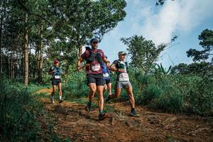 BIB: 
                            <button type="button" onclick="openModal(25525397)" class="btn btn-primary btn-sm float-right btn-popup" data-toggle="modal" data-target=".modal-high-quality">
                        <i class="fas fa-shopping-cart"></i> Add to Cart
                    </button>
                                            <button type="button" onclick="isThisMe(25525397, true)" class="btn btn-success btn-sm float-right btn-popup btn-isme hidden" data-toggle="tooltip" data-placement="bottom" title="นี่คือรูปของคุณใช่ไหม คลิกที่นี่เพื่อเอาเข้าอัลบั้ม">
                        <i class="fas fa-plus"></i> Add to album
                    </button>
                    <button type="button" onclick="isThisMe(25525397, false)" class="btn btn-warning btn-sm float-right btn-popup btn-isnotme hidden">
                        <i class="fas fa-ban"></i> Remove from album
                    </button>