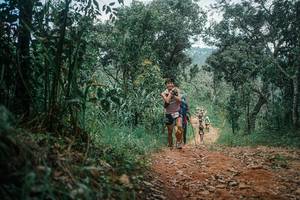 BIB: 
                            <button type="button" onclick="openModal(25464215)" class="btn btn-primary btn-sm float-right btn-popup" data-toggle="modal" data-target=".modal-high-quality">
                        <i class="fas fa-shopping-cart"></i> Add to Cart
                    </button>
                                            <button type="button" onclick="isThisMe(25464215, true)" class="btn btn-success btn-sm float-right btn-popup btn-isme hidden" data-toggle="tooltip" data-placement="bottom" title="นี่คือรูปของคุณใช่ไหม คลิกที่นี่เพื่อเอาเข้าอัลบั้ม">
                        <i class="fas fa-plus"></i> Add to album
                    </button>
                    <button type="button" onclick="isThisMe(25464215, false)" class="btn btn-warning btn-sm float-right btn-popup btn-isnotme hidden">
                        <i class="fas fa-ban"></i> Remove from album
                    </button>