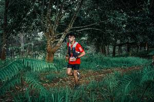 BIB: 
                            <button type="button" onclick="openModal(25526804)" class="btn btn-primary btn-sm float-right btn-popup" data-toggle="modal" data-target=".modal-high-quality">
                        <i class="fas fa-shopping-cart"></i> Add to Cart
                    </button>
                                            <button type="button" onclick="isThisMe(25526804, true)" class="btn btn-success btn-sm float-right btn-popup btn-isme hidden" data-toggle="tooltip" data-placement="bottom" title="นี่คือรูปของคุณใช่ไหม คลิกที่นี่เพื่อเอาเข้าอัลบั้ม">
                        <i class="fas fa-plus"></i> Add to album
                    </button>
                    <button type="button" onclick="isThisMe(25526804, false)" class="btn btn-warning btn-sm float-right btn-popup btn-isnotme hidden">
                        <i class="fas fa-ban"></i> Remove from album
                    </button>