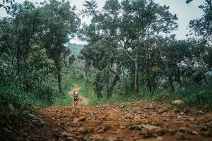 BIB: 
                            <button type="button" onclick="openModal(25517397)" class="btn btn-primary btn-sm float-right btn-popup" data-toggle="modal" data-target=".modal-high-quality">
                        <i class="fas fa-shopping-cart"></i> Add to Cart
                    </button>
                                            <button type="button" onclick="isThisMe(25517397, true)" class="btn btn-success btn-sm float-right btn-popup btn-isme hidden" data-toggle="tooltip" data-placement="bottom" title="นี่คือรูปของคุณใช่ไหม คลิกที่นี่เพื่อเอาเข้าอัลบั้ม">
                        <i class="fas fa-plus"></i> Add to album
                    </button>
                    <button type="button" onclick="isThisMe(25517397, false)" class="btn btn-warning btn-sm float-right btn-popup btn-isnotme hidden">
                        <i class="fas fa-ban"></i> Remove from album
                    </button>