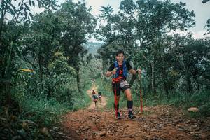 BIB: 
                            <button type="button" onclick="openModal(25516086)" class="btn btn-primary btn-sm float-right btn-popup" data-toggle="modal" data-target=".modal-high-quality">
                        <i class="fas fa-shopping-cart"></i> Add to Cart
                    </button>
                                            <button type="button" onclick="isThisMe(25516086, true)" class="btn btn-success btn-sm float-right btn-popup btn-isme hidden" data-toggle="tooltip" data-placement="bottom" title="นี่คือรูปของคุณใช่ไหม คลิกที่นี่เพื่อเอาเข้าอัลบั้ม">
                        <i class="fas fa-plus"></i> Add to album
                    </button>
                    <button type="button" onclick="isThisMe(25516086, false)" class="btn btn-warning btn-sm float-right btn-popup btn-isnotme hidden">
                        <i class="fas fa-ban"></i> Remove from album
                    </button>