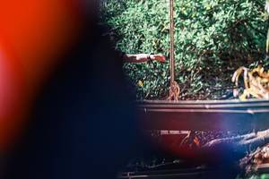 BIB: 
                            <button type="button" onclick="openModal(25448915)" class="btn btn-primary btn-sm float-right btn-popup" data-toggle="modal" data-target=".modal-high-quality">
                        <i class="fas fa-shopping-cart"></i> Add to Cart
                    </button>
                                            <button type="button" onclick="isThisMe(25448915, true)" class="btn btn-success btn-sm float-right btn-popup btn-isme hidden" data-toggle="tooltip" data-placement="bottom" title="นี่คือรูปของคุณใช่ไหม คลิกที่นี่เพื่อเอาเข้าอัลบั้ม">
                        <i class="fas fa-plus"></i> Add to album
                    </button>
                    <button type="button" onclick="isThisMe(25448915, false)" class="btn btn-warning btn-sm float-right btn-popup btn-isnotme hidden">
                        <i class="fas fa-ban"></i> Remove from album
                    </button>